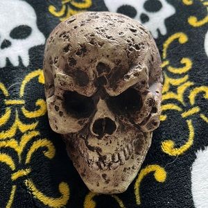 💀☠️SKULL